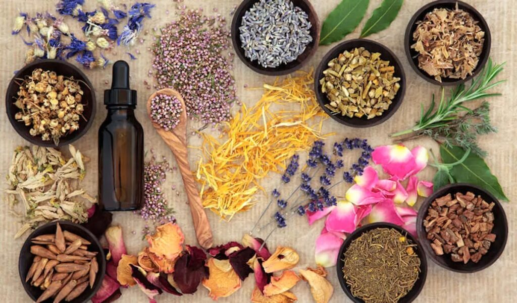 مکمل گیاهی درمان کبد چرب ستاک